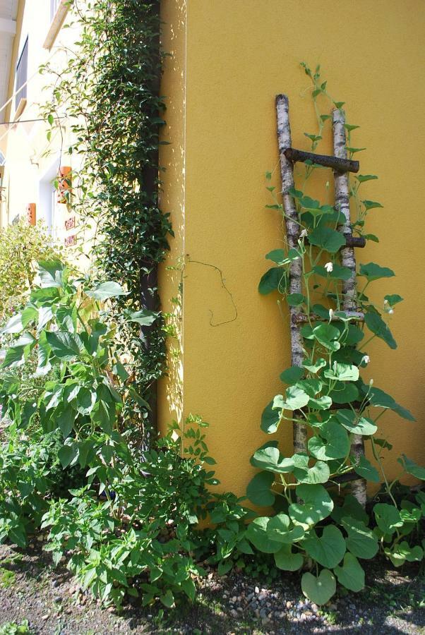 Apartamento Casa Ramke Eitorf Exterior foto